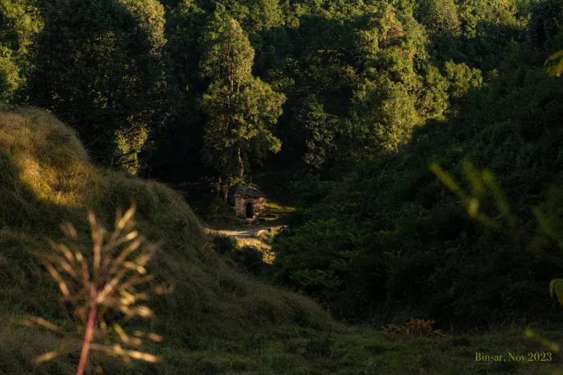 A small hut in a sunlit mountain forest at dusk, with grass in the foreground.